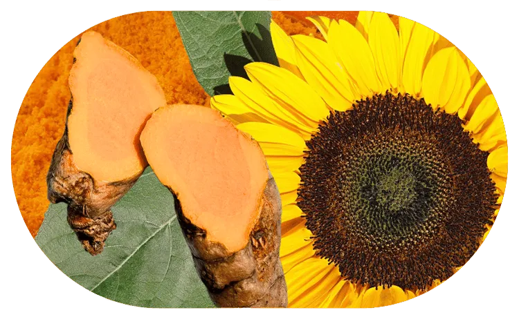 Meriva curcumin