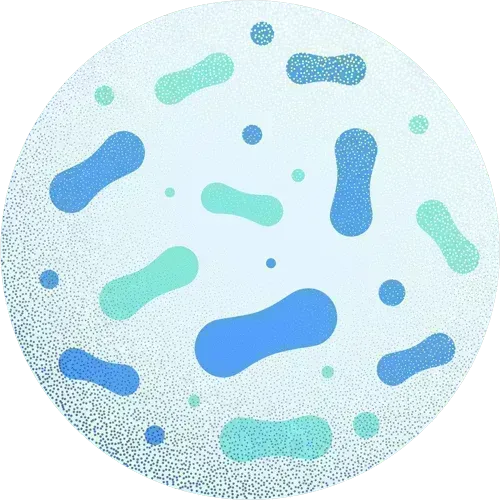 MagBiotic probiotic