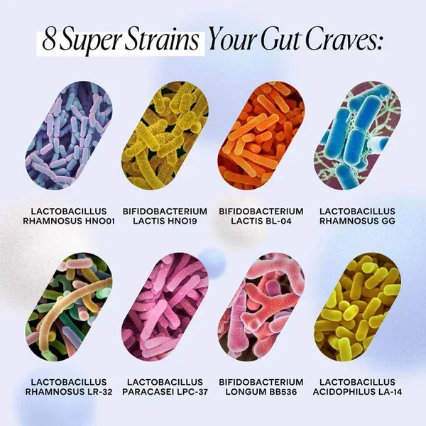 Synbiotic Complete capsules: 8 clinically studied probiotic strains