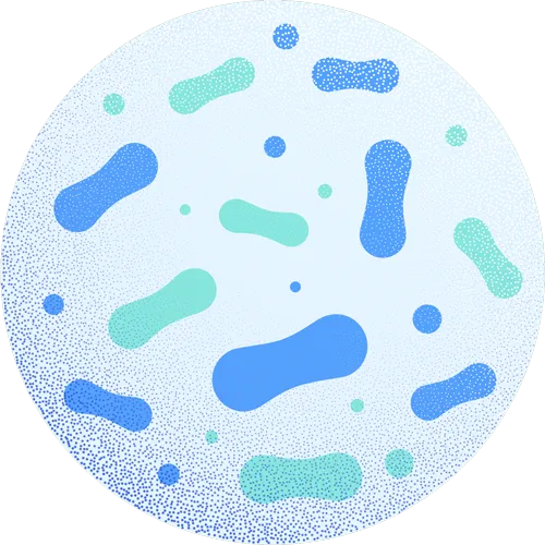 ProbioBrain probiotic strain